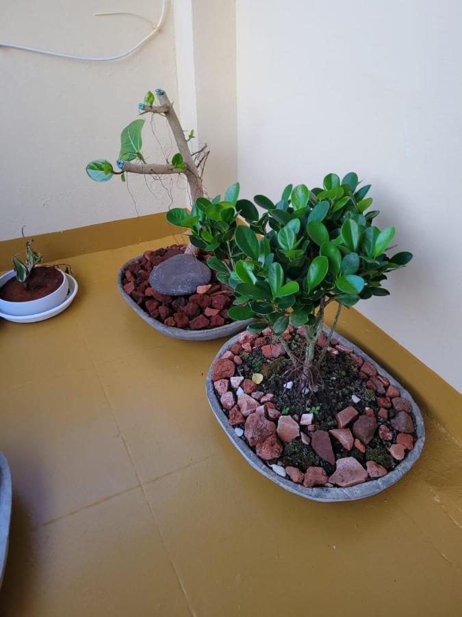 Sandy Beach Hotel Thiruvananthapuram Екстериор снимка